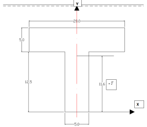 T section Details